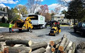 Best Tree Mulching  in Evansville, WI
